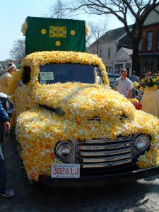 Nantucket Daffodil Parade