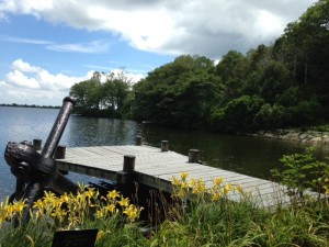 wooden dock over pond with flowers in foreground